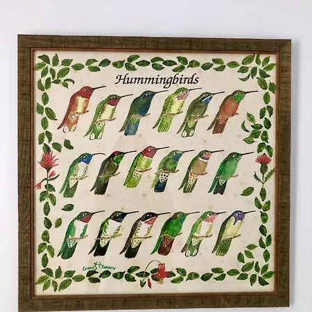 Gatu Premium Conil Sunset House Con Piscina, 3 Dormit, 3 Banos, Jardin Privado , Wifi Y Parking, Preferente Mayores De 21 Anos Y Familias Будинок відпочинку *