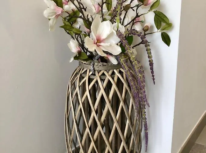 Nyaraló Gatu Premium Conil Sunset House Con Piscina, 3 Dormit, 3 Banos, Jardin Privado , Wifi Y Parking, Preferente Mayores De 21 Anos Y Familias *